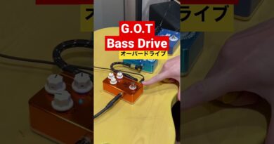 取り扱いブランドが増えたと聞いて… シゲモリ編　　　　　#shorts #bass #effects